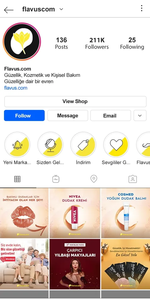 Flavus Instagram profil akışı